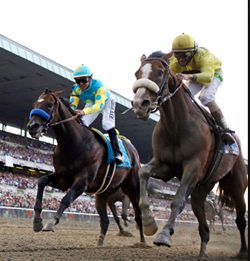 Belmont Stakes Sportsbook Betting
